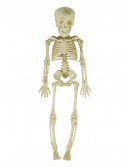 11.5" Silver Glitter Skeleton, halloween costume (11.5" Silver Glitter Skeleton)