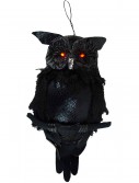 19 In Hanging Owl w/ Light Up Eyes, halloween costume (19 In Hanging Owl w/ Light Up Eyes)