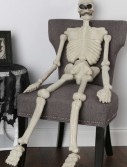 5 Ft Skeleton, halloween costume (5 Ft Skeleton)