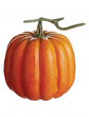 6.5 inch Weighted Pumpkin with Vine, halloween costume (6.5 inch Weighted Pumpkin with Vine)