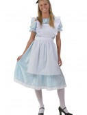 Adult Alice Costume, halloween costume (Adult Alice Costume)