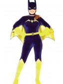 Adult Batgirl Costume, halloween costume (Adult Batgirl Costume)