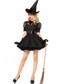 Adult Bewitching Beauty Costume, halloween costume (Adult Bewitching Beauty Costume)