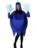 Adult Blueberry Costume, halloween costume (Adult Blueberry Costume)