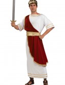 Adult Caesar Costume, halloween costume (Adult Caesar Costume)