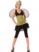 Adult Honey Bee Costume, halloween costume (Adult Honey Bee Costume)