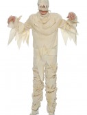Adult Mummy Costume, halloween costume (Adult Mummy Costume)