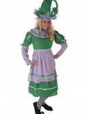 Adult Munchkin Girl Costume, halloween costume (Adult Munchkin Girl Costume)