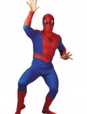 Adult Spider-Man Costume, halloween costume (Adult Spider-Man Costume)