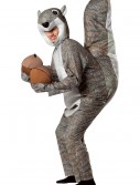 Adult Squirrel Costume, halloween costume (Adult Squirrel Costume)