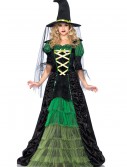 Adult Storybook Witch Costume, halloween costume (Adult Storybook Witch Costume)