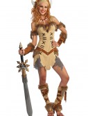 Adult Viking Princess Costume, halloween costume (Adult Viking Princess Costume)