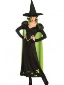 Adult Wicked Witch of the West Costume, halloween costume (Adult Wicked Witch of the West Costume)