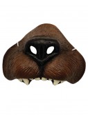 Bear Nose, halloween costume (Bear Nose)