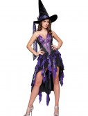 Bewitching Beauty Costume, halloween costume (Bewitching Beauty Costume)