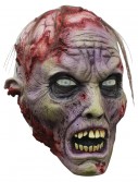 Brains! Zombie Mask, halloween costume (Brains! Zombie Mask)