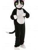 Catnip the Cat Mascot Costume, halloween costume (Catnip the Cat Mascot Costume)