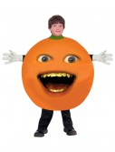 Child Annoying Orange Costume, halloween costume (Child Annoying Orange Costume)