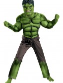 Child Avengers Hulk Muscle Costume, halloween costume (Child Avengers Hulk Muscle Costume)