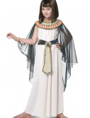Child Egyptian Princess Costume, halloween costume (Child Egyptian Princess Costume)