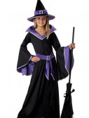 Child Glamour Witch Costume, halloween costume (Child Glamour Witch Costume)
