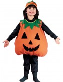 Child Pumpkin Costume, halloween costume (Child Pumpkin Costume)