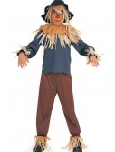 Child Scarecrow Costume, halloween costume (Child Scarecrow Costume)