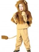 Child Storybook Lion Costume, halloween costume (Child Storybook Lion Costume)