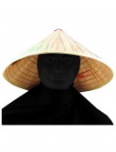 Chinese Bamboo Hat, halloween costume (Chinese Bamboo Hat)