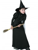 Deluxe Child Witch Costume, halloween costume (Deluxe Child Witch Costume)