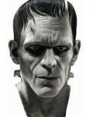 Deluxe Frankenstein Mask, halloween costume (Deluxe Frankenstein Mask)