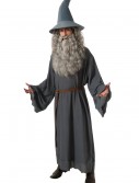 Gandalf Costume, halloween costume (Gandalf Costume)