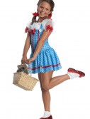 Girls Dorothy Costume, halloween costume (Girls Dorothy Costume)