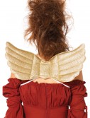 Golden Wings, halloween costume (Golden Wings)