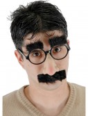 Groucho Glasses, halloween costume (Groucho Glasses)