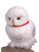 Hedwig Accessory, halloween costume (Hedwig Accessory)