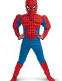 Kids Deluxe Muscle Spiderman Costume, halloween costume (Kids Deluxe Muscle Spiderman Costume)
