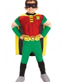 Kids Deluxe Robin Costume, halloween costume (Kids Deluxe Robin Costume)