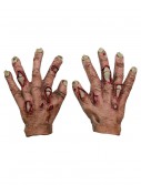 Kids Rotten Flesh Hands, halloween costume (Kids Rotten Flesh Hands)
