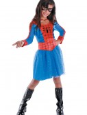Kids Spider Girl Costume, halloween costume (Kids Spider Girl Costume)
