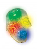 Light Up Indiana Jones Crystal Skull, halloween costume (Light Up Indiana Jones Crystal Skull)
