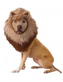 Lion Pet Costume, halloween costume (Lion Pet Costume)