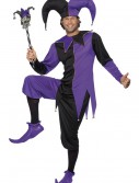 Medieval Jester Costume, halloween costume (Medieval Jester Costume)