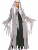 Midnight Spirit Women's Costume, halloween costume (Midnight Spirit Women's Costume)
