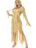 Mummy Queen Costume, halloween costume (Mummy Queen Costume)