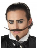 Musketeer Mustache and Chin Patch, halloween costume (Musketeer Mustache and Chin Patch)