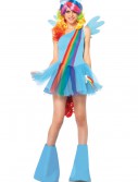 My Little Pony Rainbow Dash Adult Costume, halloween costume (My Little Pony Rainbow Dash Adult Costume)