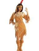 Native American Maiden Costume, halloween costume (Native American Maiden Costume)