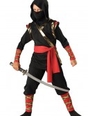 Ninja Costume, halloween costume (Ninja Costume)