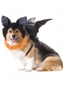 Pet Bat Costume, halloween costume (Pet Bat Costume)